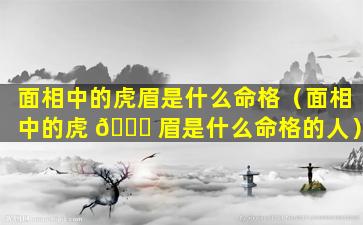面相中的虎眉是什么命格（面相中的虎 🍀 眉是什么命格的人）
